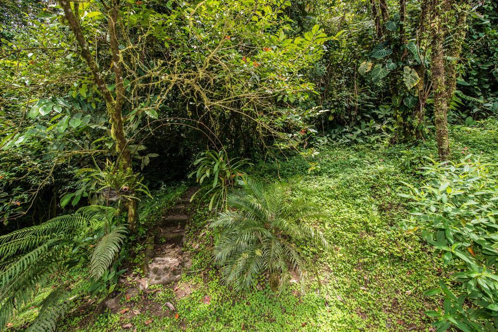 Lucky Bug Bed And Breakfast Nuevo Arenal Exterior foto